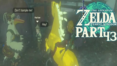 Princess Zelda Golden Horse | Tears Of the kingdom | Part 43