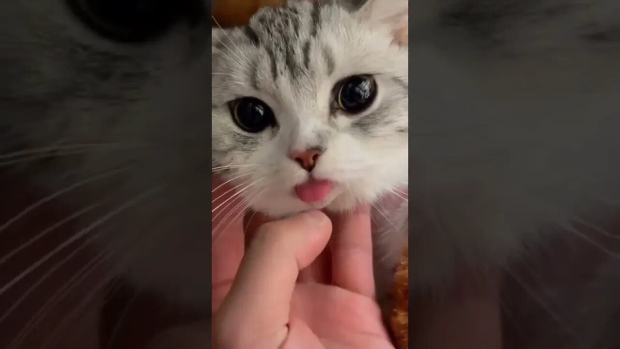 😛