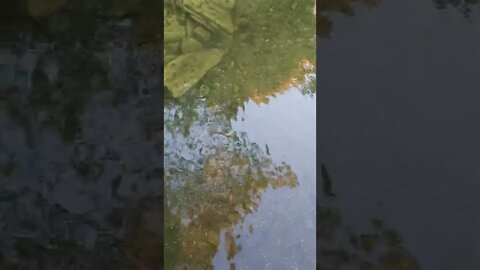 【各位老鐵不喜勿入可繞過】清澈的湖水