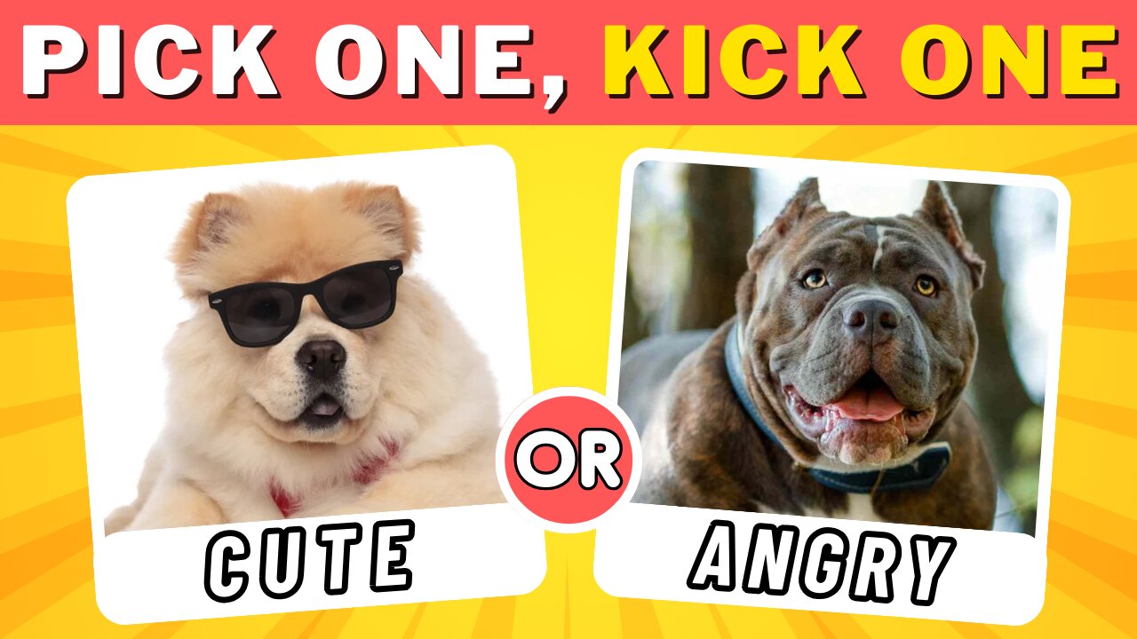 Would You Rather - Dogs and Puppies Edition 🐶 | Hardest Choices Ever