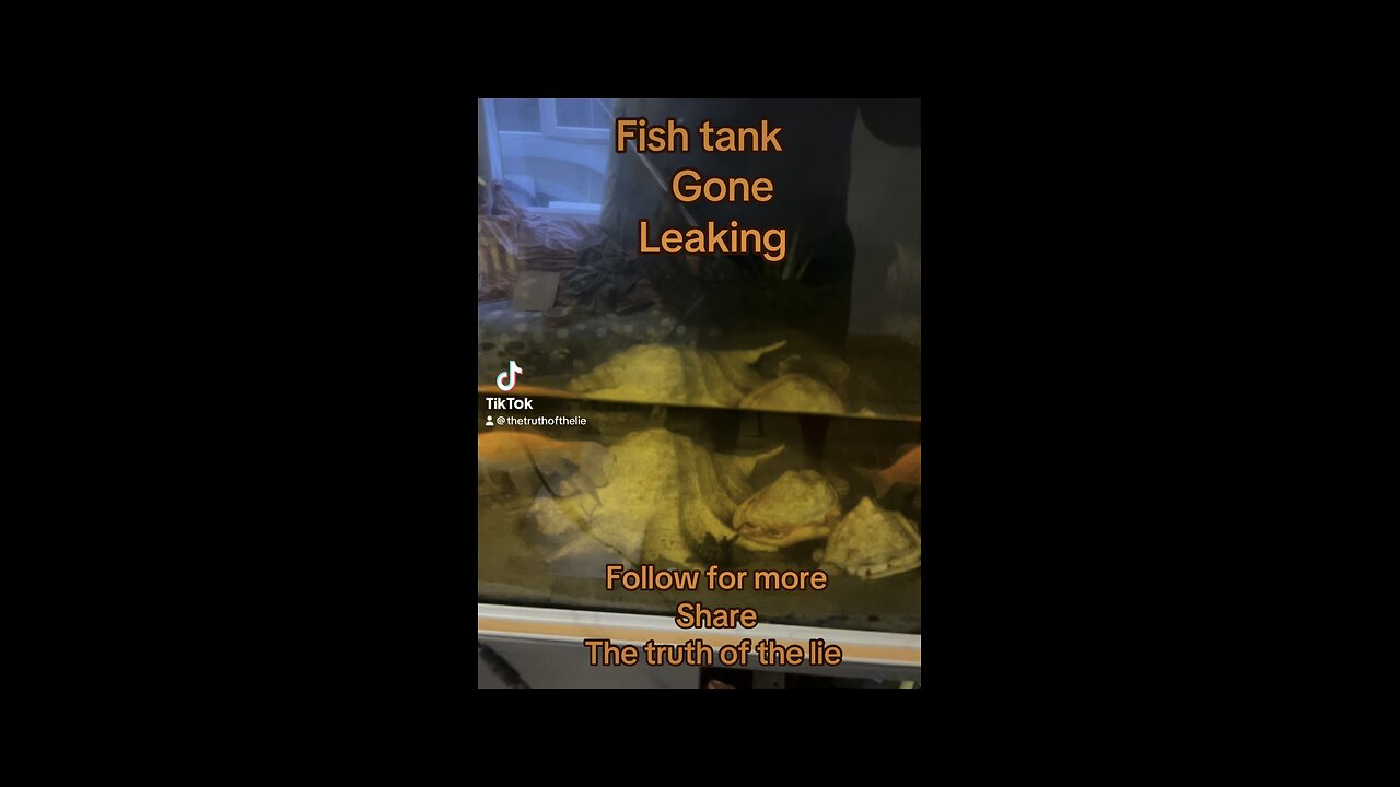 Fish tank leaking