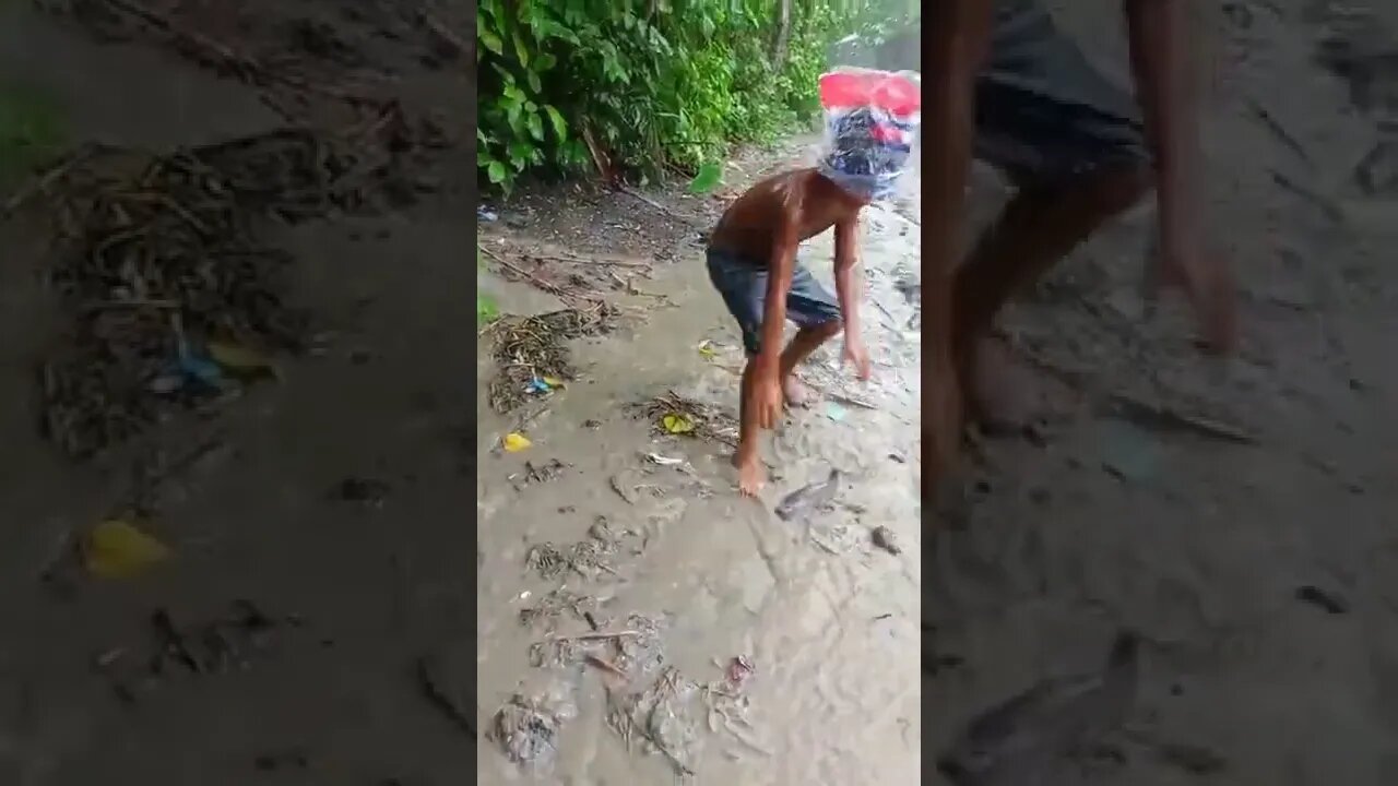 Catching Fish 🐟