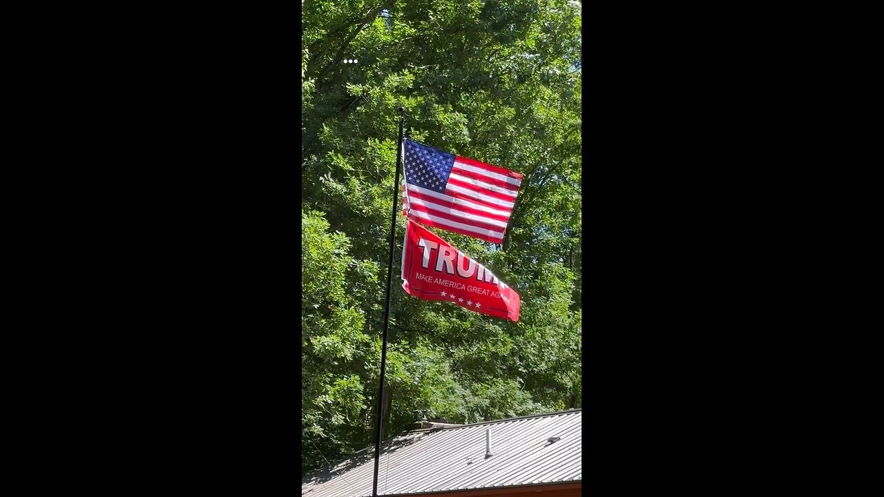 Trump Flag Waving (Trump 2024)