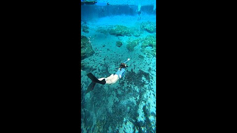 Blessed #snorkeling #springs #clearwater #rumble