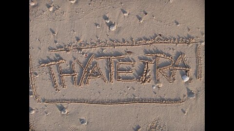 Thyateira "Endemic"