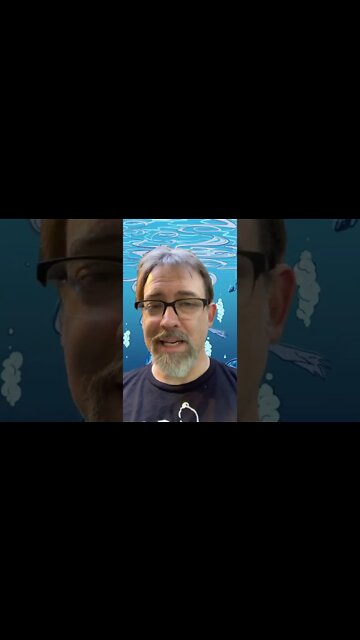 Should I keep doing art livestreams?