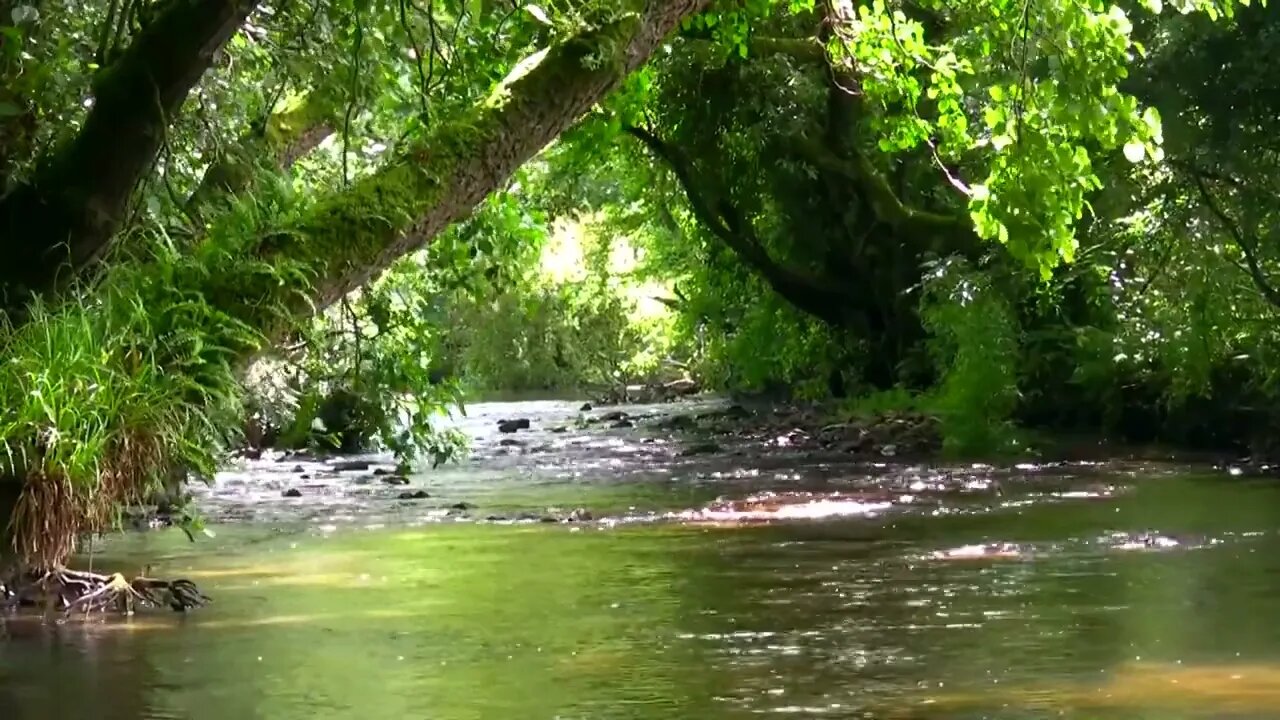 River of Eternity