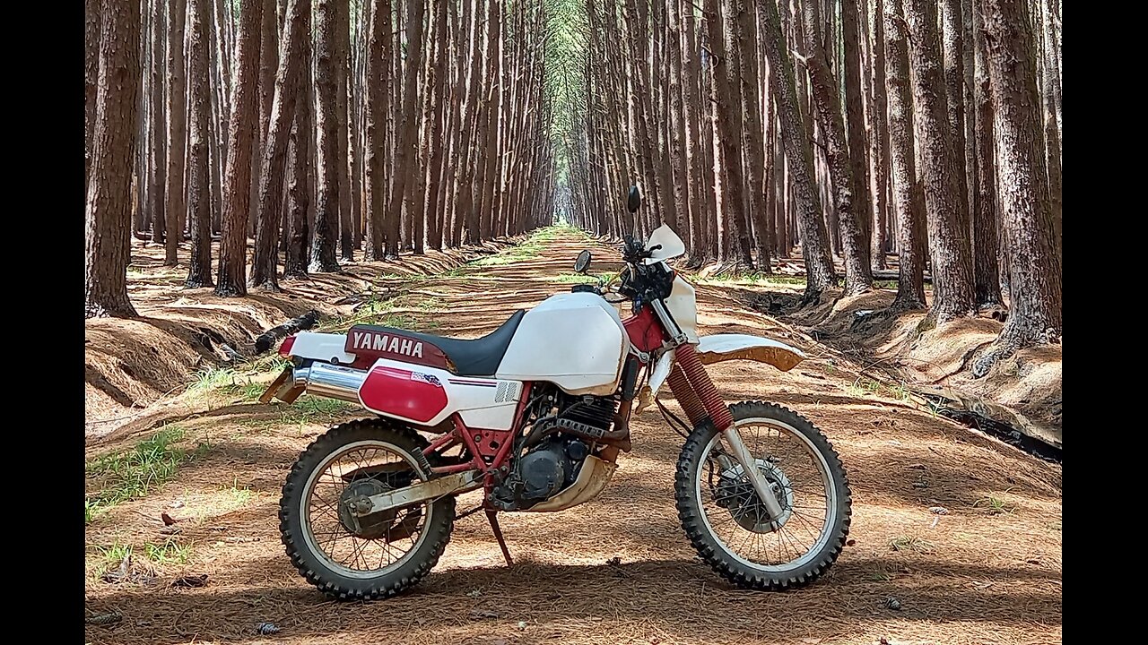 YAMAHA XT600 TENERE SOLO ADVENTURE