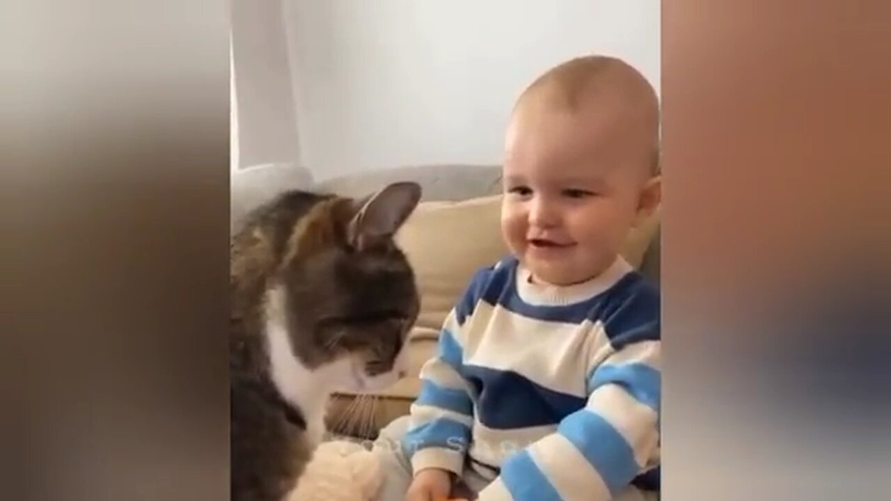 Cute cats 🐱 & Baby 👶