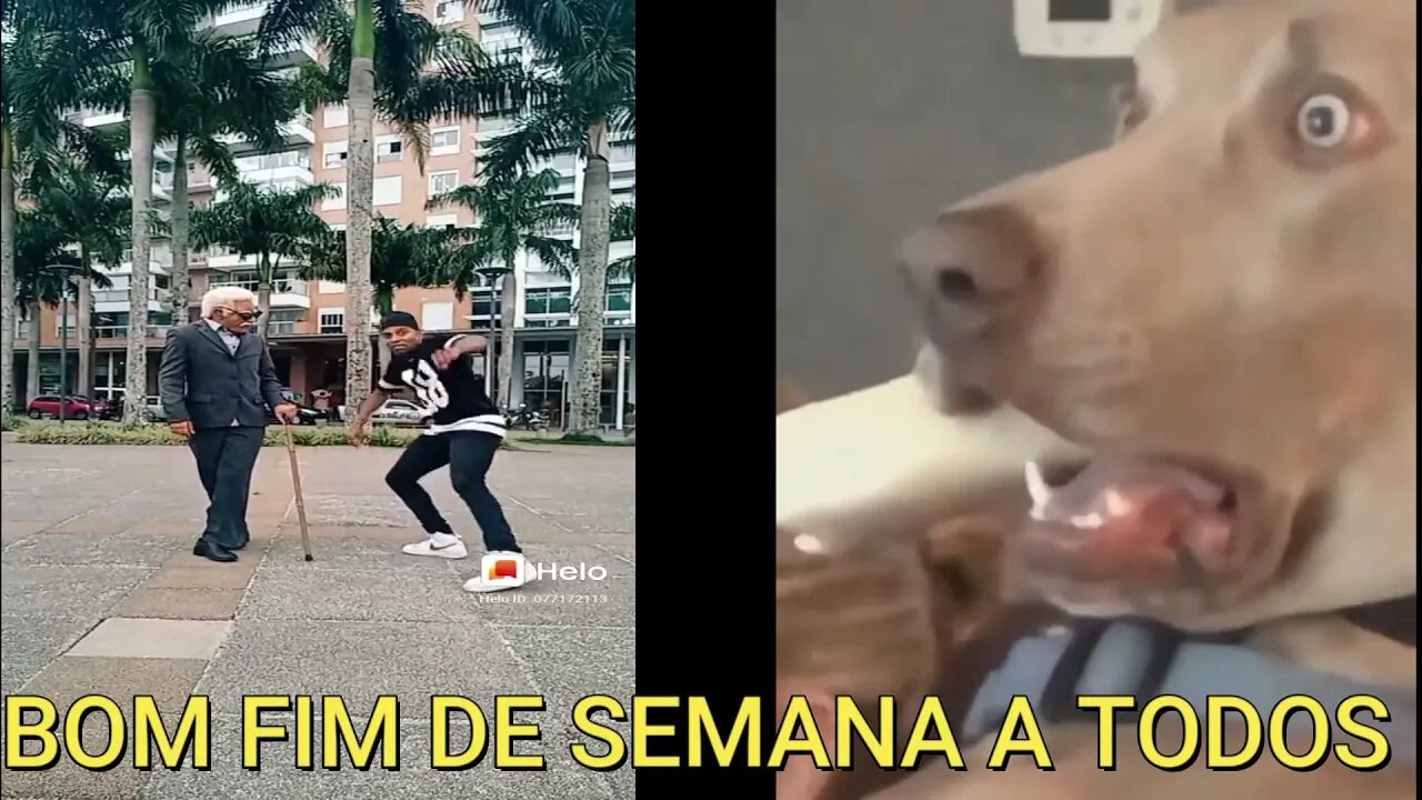 OS MELHORES MEMES E ZEZÃO DANÇOU #redpill #dançacomzezão