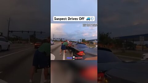 Florida Sheriff Helps Take Down Suspect Fleeing Traffic Stop