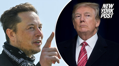 Elon Musk says he'll reverse Trump's Twitter ban