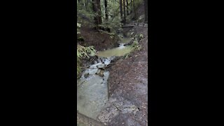 Redwood Creek Double Falls