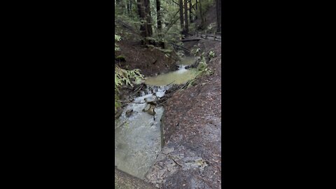 Redwood Creek Double Falls