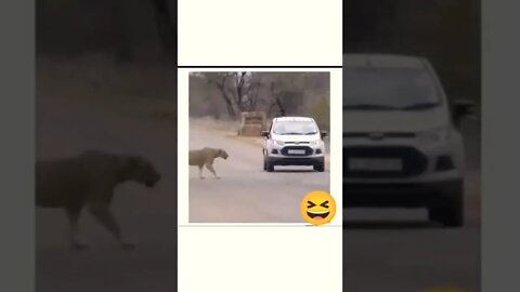 #friendship #reelsinstagram #reels