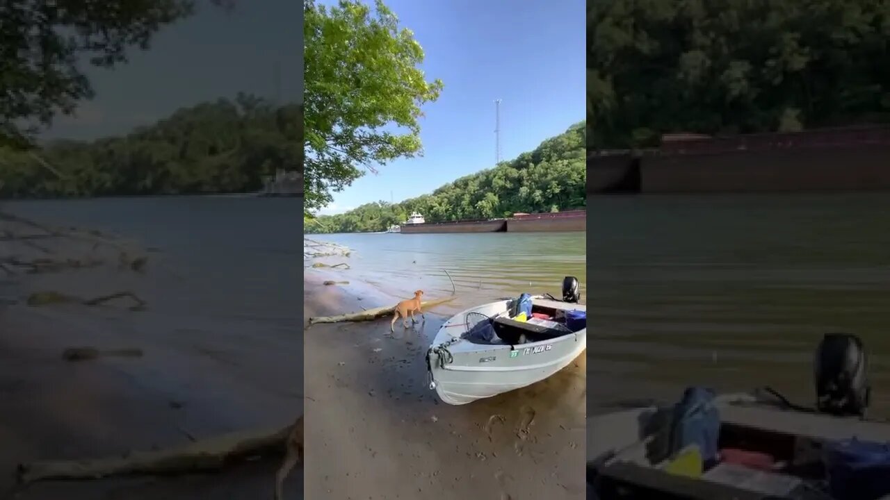 Big Ass Barge while catfishing