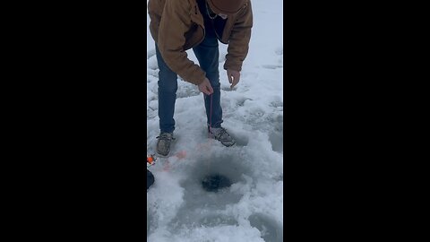 Ice fishing with tip ups