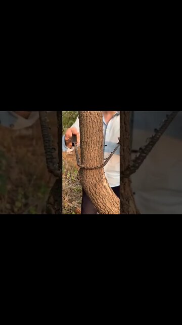 #shorts #2022 funny,prank,funjokes,dad jokes,funny memes,funny video,fun,laughing,funny animal,knock