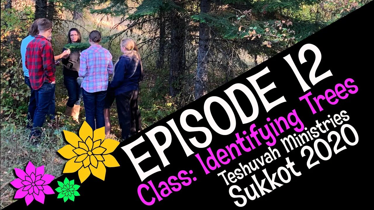 Sukkot 2020 Episode 12 - Class to Identify Trees ( Teshuvah Ministries, Feast of Tabernacles )