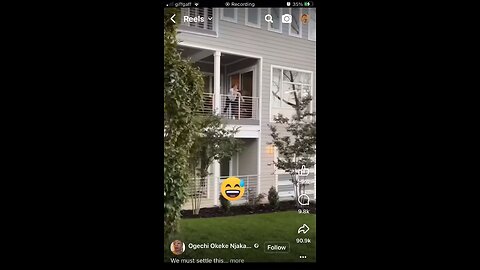 Funny cats