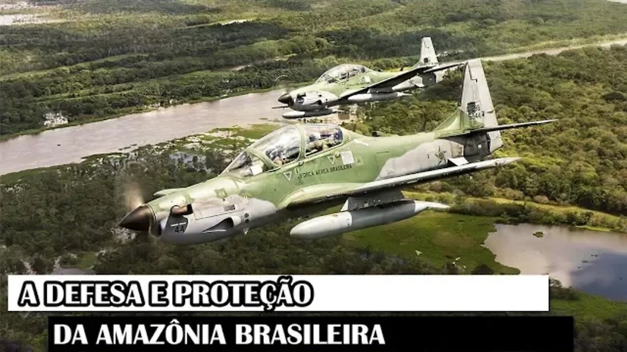 A Defesa E Proteção Da Amazônia Brasileira