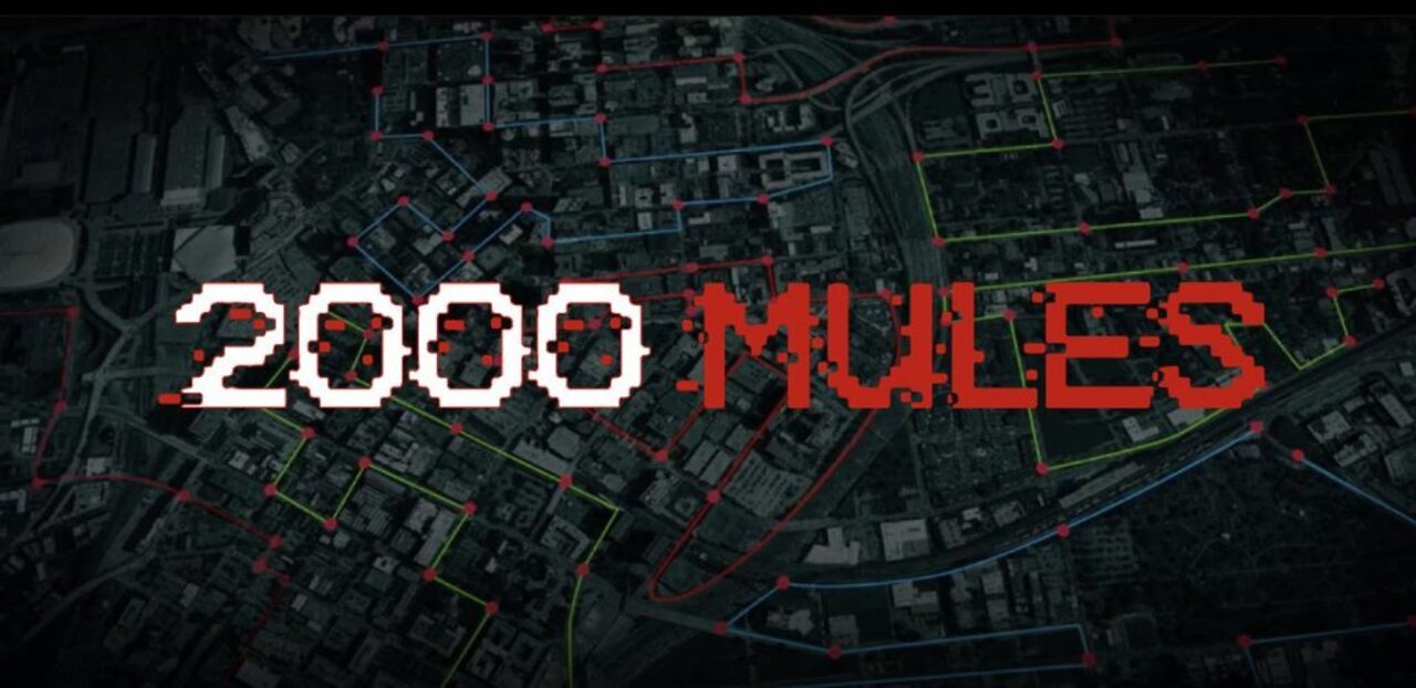 2000 Mules Trailer - How the 2020 Election was stolen