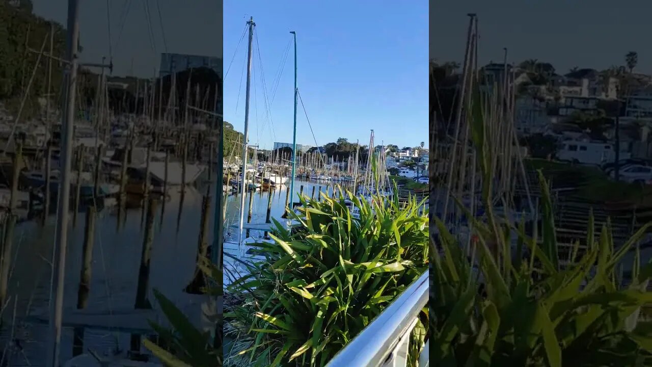 Hash at Milford Beach inlet