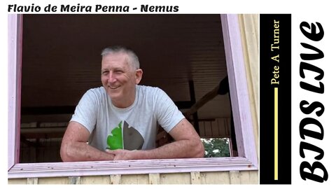 Flavio de Meira Penna - Nemus