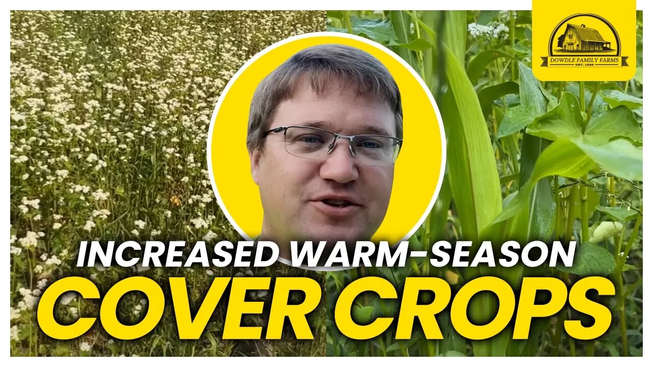 We Have Planted More Cover Crops than Ever Before for 2023