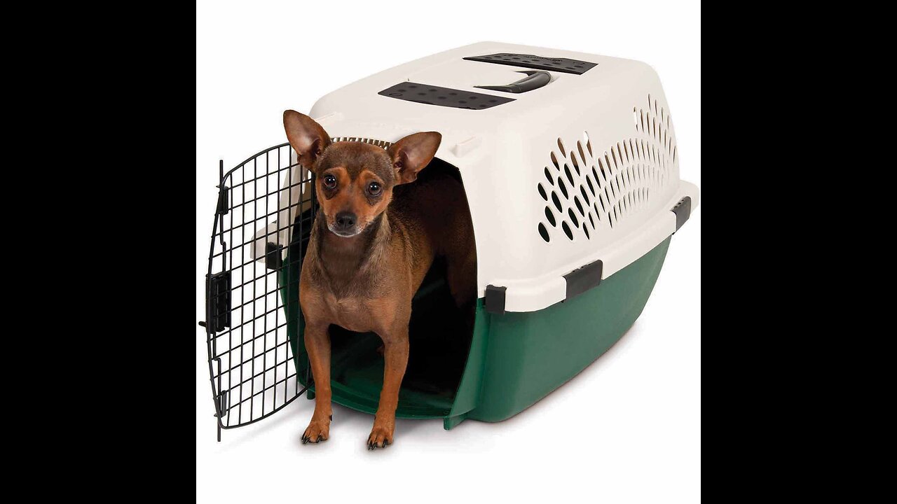 Petmate Ruffmaxx Dog Kennel Pet Carrier & Crate, Outdoor and Indoor for Large, Medium, and Smal...