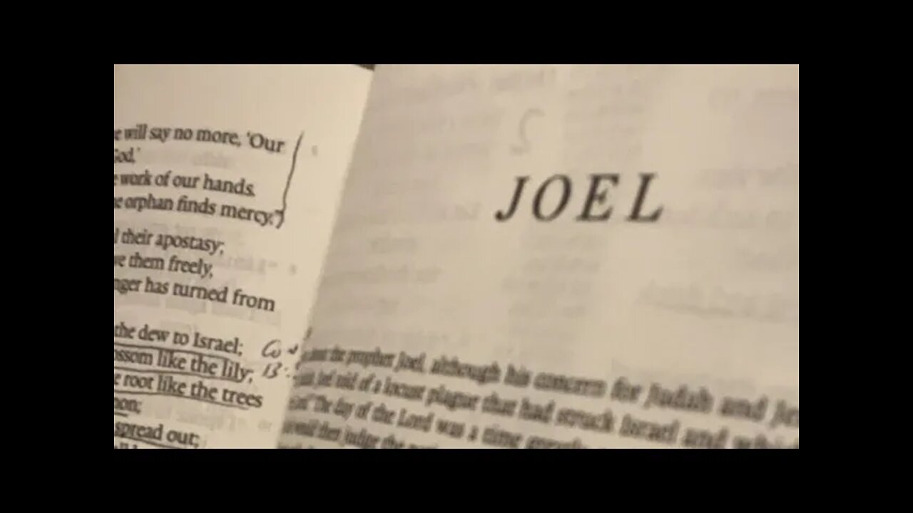 Joel 1:15-2:11