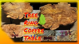 Tree Ring Coffee Table Build