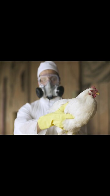 NWO: 2024 bird flu follows the same playbook as 1976 swine flu