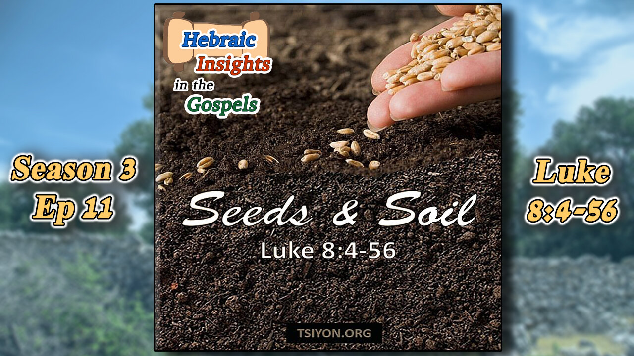 Luke 8 - Seeds & Soil - HIG S3 Ep11