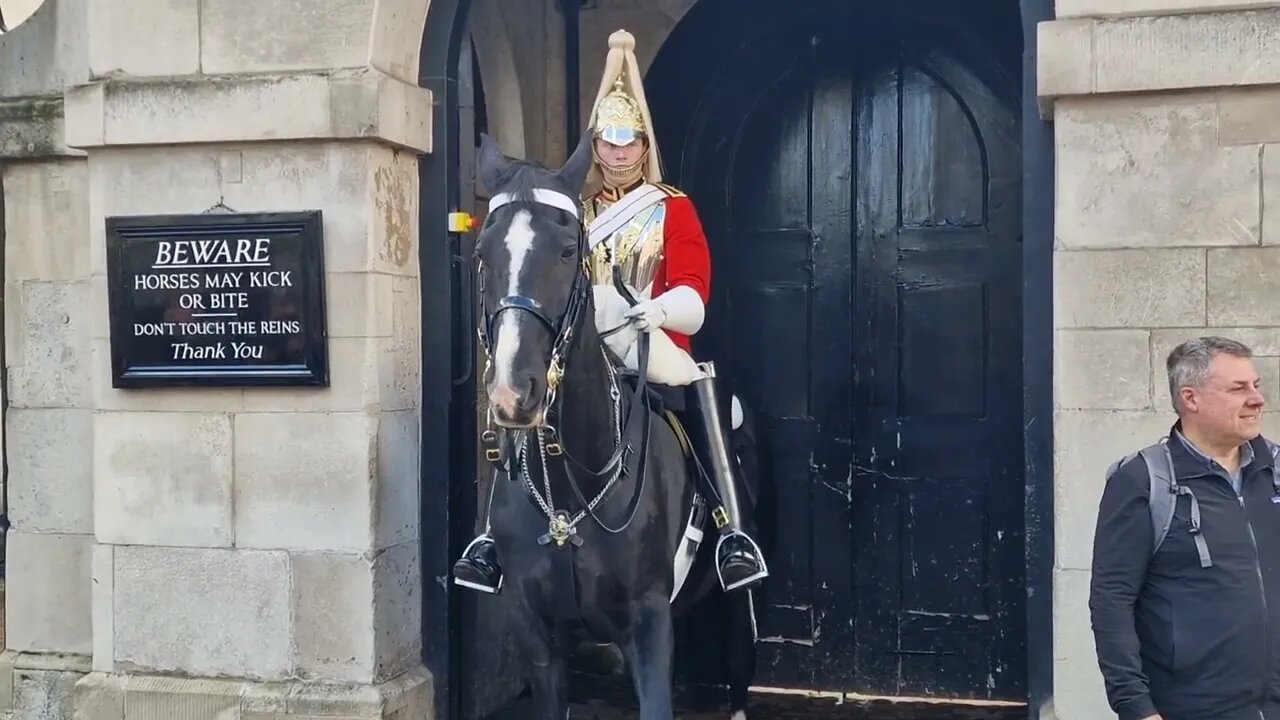 Disrespectful behaviour tourist poses with hand facing the horse #horseguardsparade