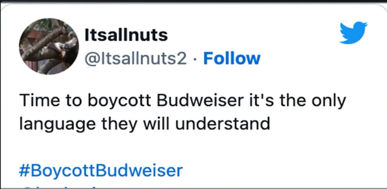 FAIL: Budweiser’s Laughable New Hyper-Patriotic Commercial