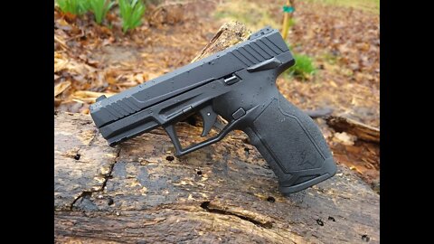 An Affordable Plinker: Taurus TX22 Review