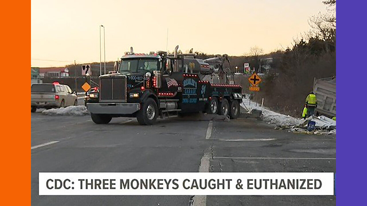 Monkey Truck Update And Liberal Leader Problems