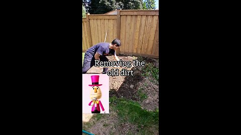 Wii Guarantee