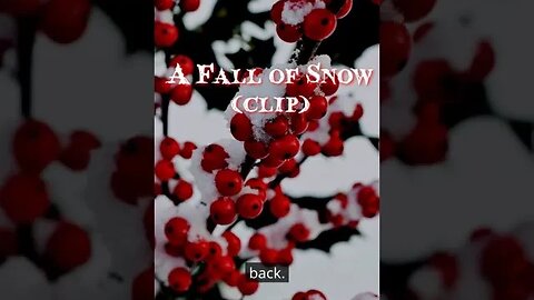 A Fall of Snow by James Turner