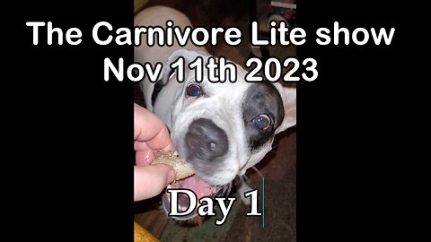 Nov 11th, 2023: Day 1: Day in the Life of a Carnivore Lite journey for weight loss Vlog.