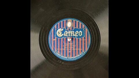 Lost (A Wonderful Girl) - Velvetone Dance Orchestra
