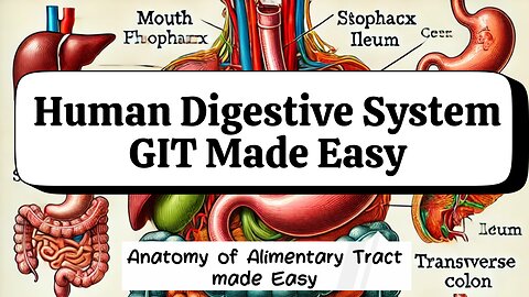 Introduction to the Gastrointestinal Tract (GIT) | Complete Overview of GIT Parts