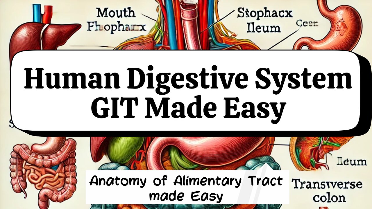 Introduction to the Gastrointestinal Tract (GIT) | Complete Overview of GIT Parts