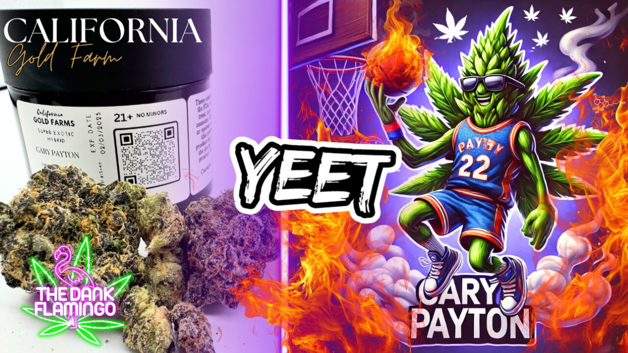 Trying Gary Payton THCa from California Gold Farms! The Dank Flamingo Cannabis Review!!