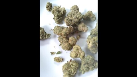 The Alex Jones Show (07/14/2023)