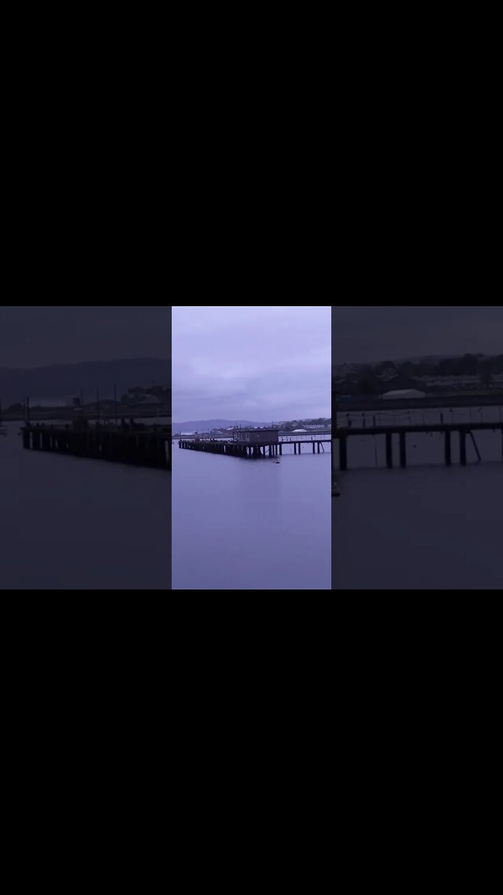 Admiralty Pier #shorts