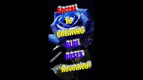 SECRET to Creating BLUE ROSES Revealed!