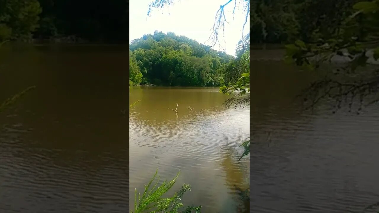 relaxing calm waters by the lake i.c. king park Knoxville near Tennessee river