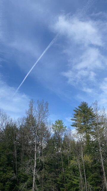 ☢️FAKE SKY☣️